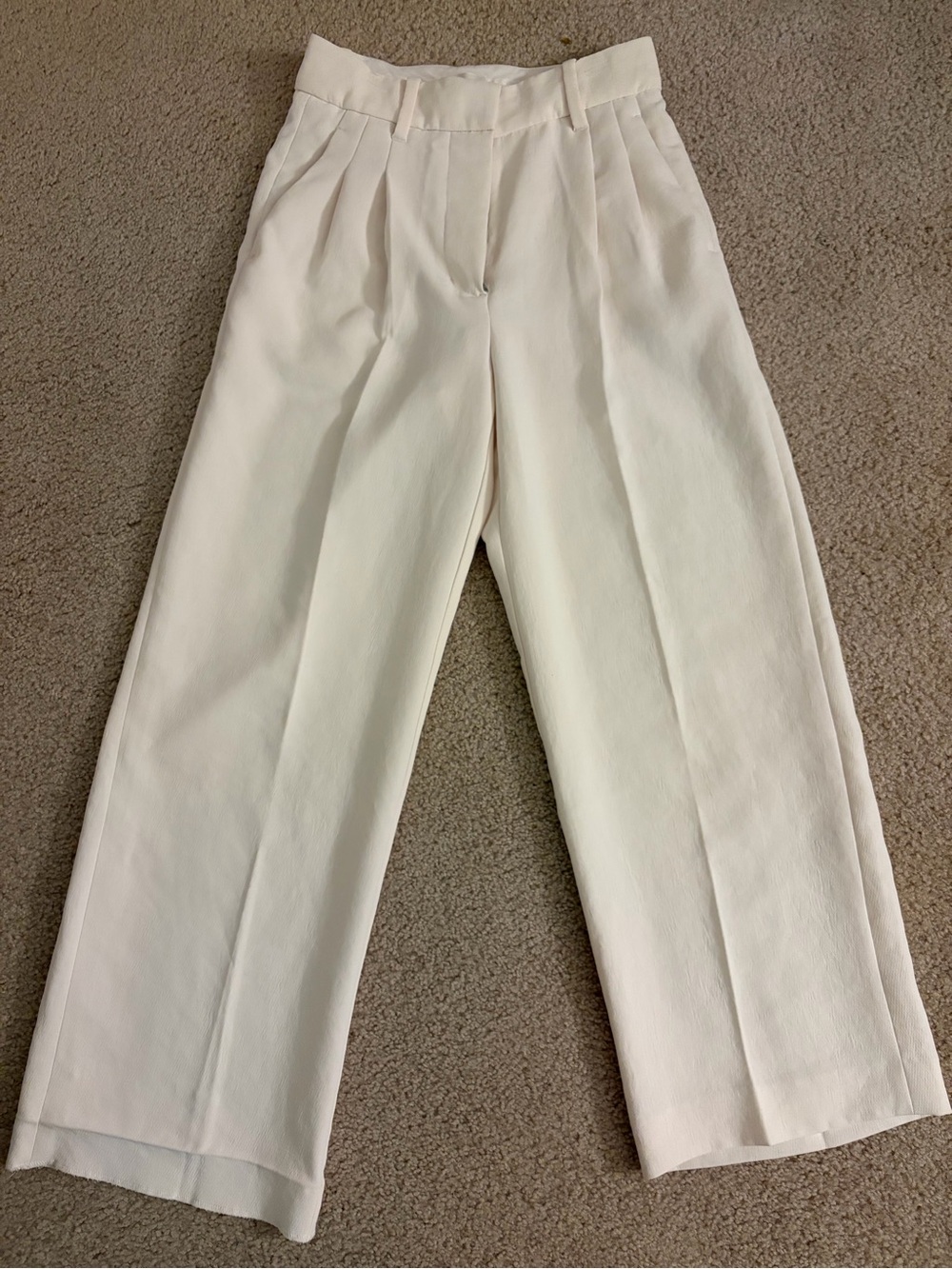 Aritzia Wilfred Cream Wide-Leg Pleated Trousers